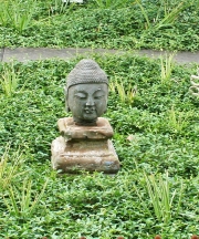 Buddhakopf, Stein