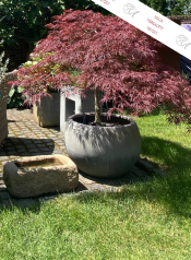 Ein Steinbecken, Granitstein