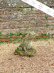 Ein großer, alter Wasserspeier, Frosch