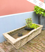 Ein altes Becken, Sandstein