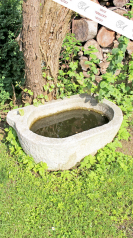 Ein altes Wasserbecken, Kalkstein